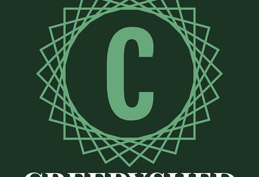 Cheepyshed TikTok feed