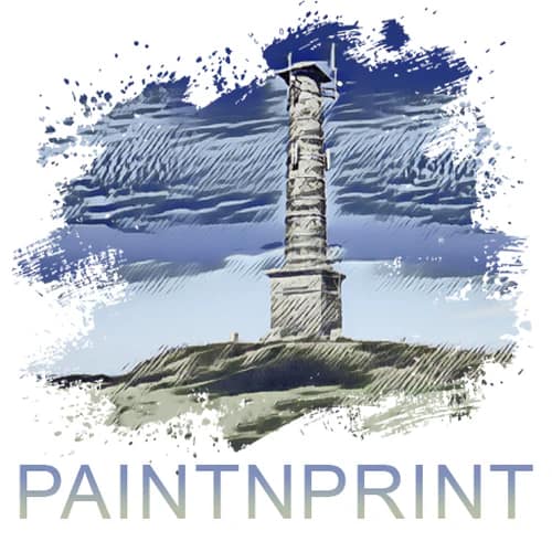 PaintNPrint
