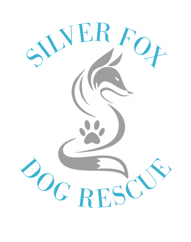 silver fox logo