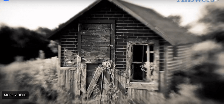 creepy-sheds