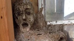 Bizarre Shed News, horror shed